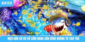 meo-ban-ca-h5-anh-dai-dien